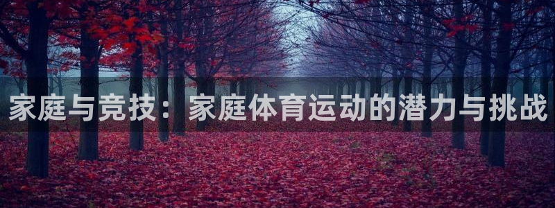 MK体育官方正版app科技:家庭与竞技:家庭体育运动的潜力与