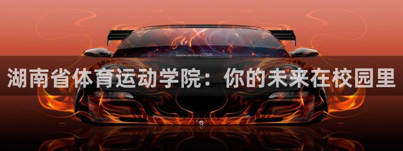 MK体育官方正版app娱乐是那个系列的台子:湖南省体育运动学