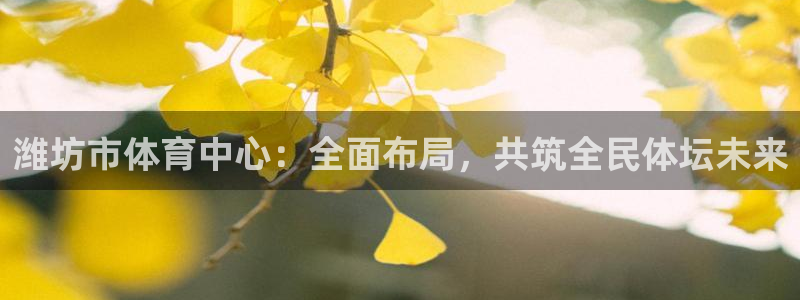 MK体育官方正版app集团:潍坊市体育中心:全面布局,共筑全